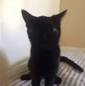 Meet your Posher, Jacob